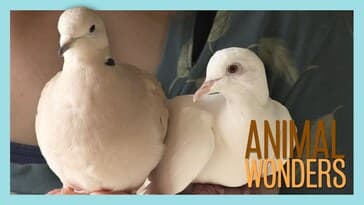 Meet & Greet: Willow and Kia