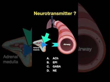 Testing ANS #shorts (Part E