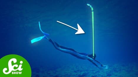 Why Are Snorkels So Short?