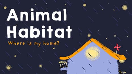 Where do Animals Live?