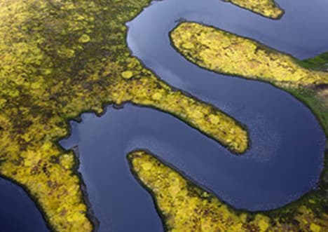 Meanders and Oxbow Lakes