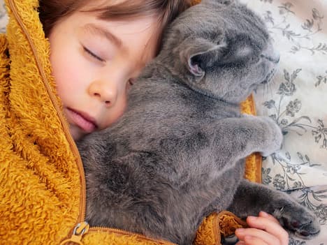 The Importance of Truthfulness