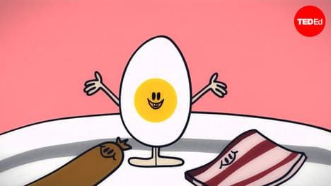 What actually causes high cholesterol? | Hei Man Chan