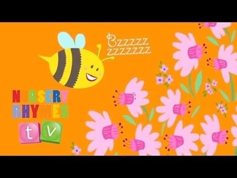 IF I COULD BE AN ANIMAL | Original Song | Nursery Rhymes TV | English Songs For Kids