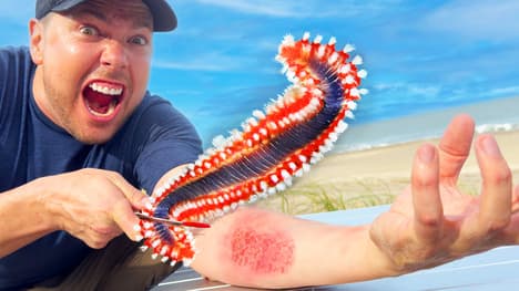 BURNED by a GIANT Fireworm!