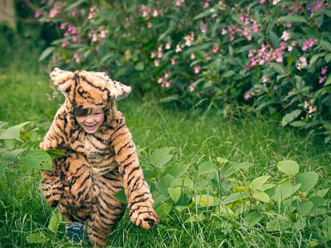 Finding Joy: The Power of Smiling and Positive Attitude