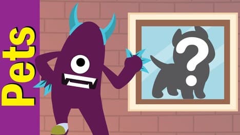 What's in the Window? - Pets