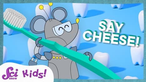 All About Teeth! | SciShow Kids Compilation