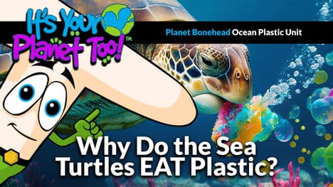 Unraveling the Plastic Threat to Sea Turtles
