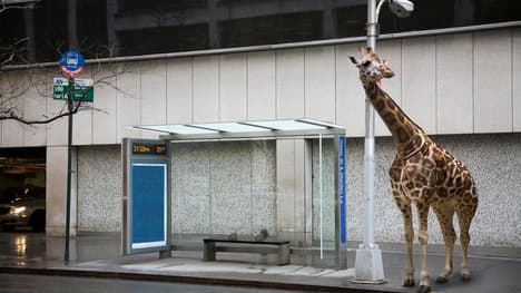 Discovering Wisdom: The Importance of Learning from Others