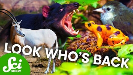 Where Scientists Keep the World's Most Endangered Animals