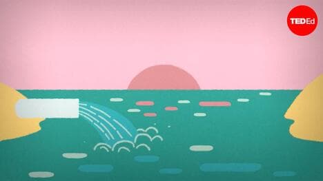 TED-Ed: How the water you flush becomes the water you drink | Francis de los Reyes