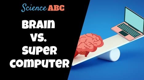 Human Brain vs Supercomputer: Which One Wins?