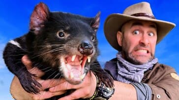 Don't Try this with a Devil!