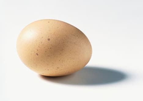 Why Are Eggs Egg-Shaped?