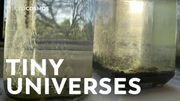 A Collection of Tiny Universes