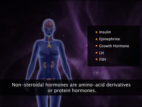 Mechanism of Hormone Action