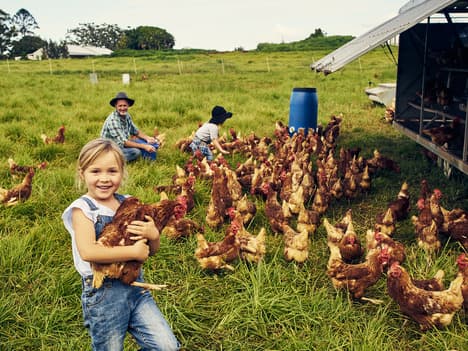 Learning Ethics  A Valuable Lesson in Respecting Nature