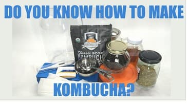 What Sugar And Tea Does a Kombucha Biofilm Prefer?