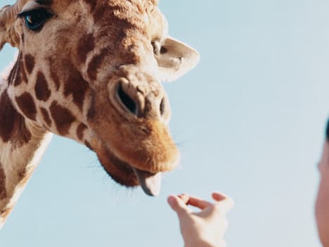 The Power of Forgiveness