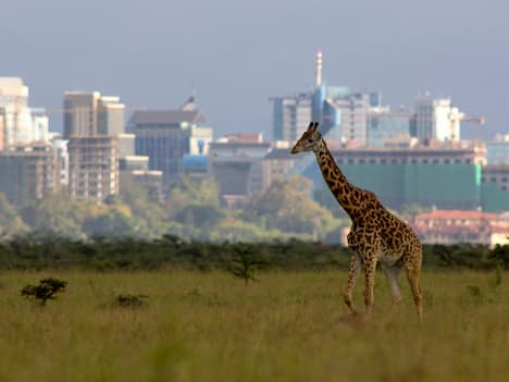 The Importance of Punctuality