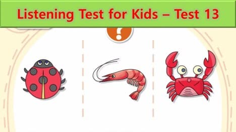 Listening Test 13