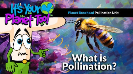 The Buzz on Pollination: How Honey Bees Power Agriculture