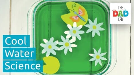 5 Science Experiments with Water