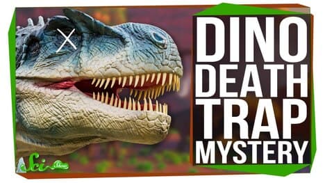 The Mystery of the Cleveland-Lloyd Dinosaur Death Trap