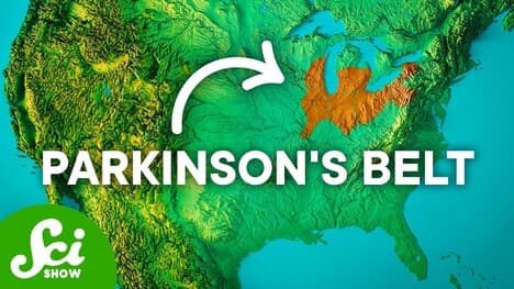 What’s Causing the Parkinson’s Belt?