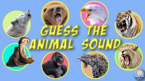 Guess the Animal Sound