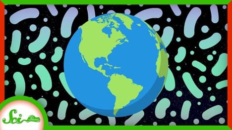 Why Bacteria Don't Outweigh the Earth