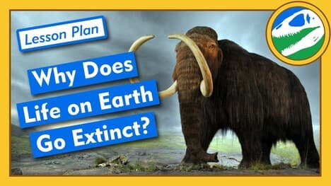 Why Does Life on Earth Go Extinct? - Lesson Plan