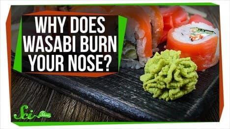 Why Does Wasabi Burn Your Nose?