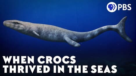 When Crocs Thrived in the Seas