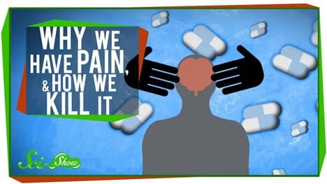 Why We Have Pain, & How We Kill It