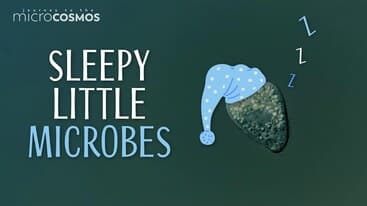 Some Microbes Also Take Naps