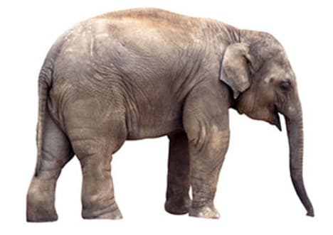 The Heartbeat Formula