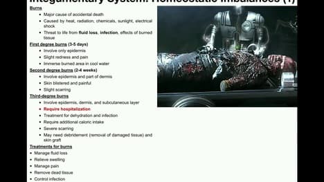 Anatomy | First, Second, and Third Degree Burns