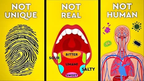 6 Myths Debunked About The Human Body