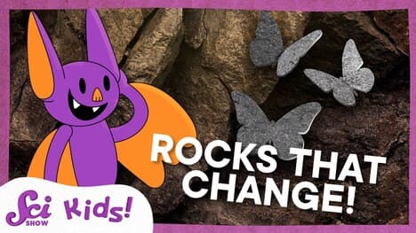 How Metamorphic Rocks Are Like Butterflies | SciShow Kids