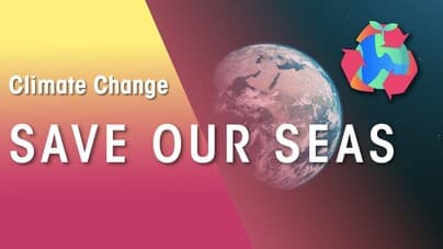 Ocean Sustainability| Safeguarding our Seas | Plastic Free