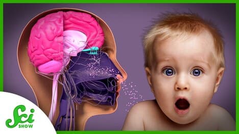 The Weird, Delightful Smells of Being Human