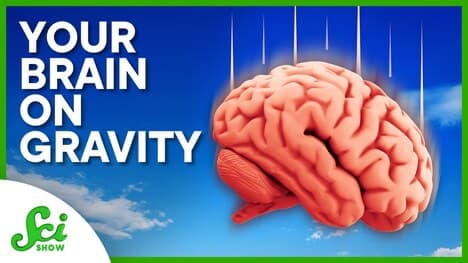 Why Up Matters to Your Brain