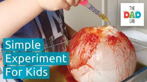 Science Experiment: Melting Ice Using Salt