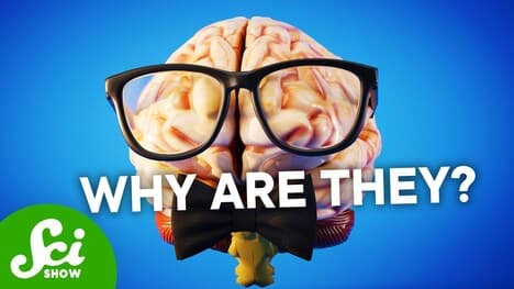 Our Brains Shouldn’t Be So Big
