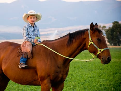 The Power of Hope: Lessons from Dante the Dragonfly