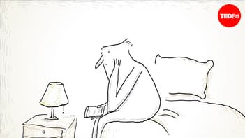 TED-Ed: Ethical dilemma: Would you lie? | Sarah Stroud