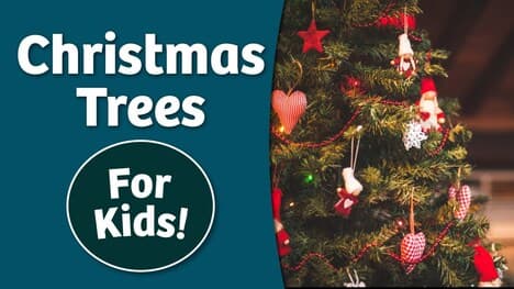History of Christmas Trees for Kids | Bedtime History
