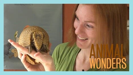 How Do I Do What You Do?